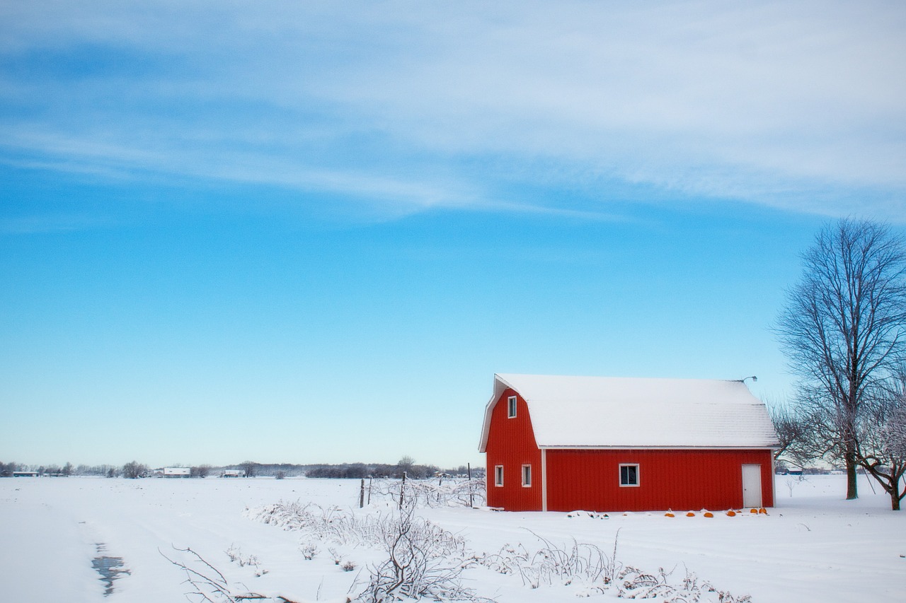 barn, snow, farm-556696.jpg